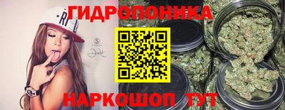 a pvp Малгобек